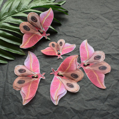 Silk Pink Moth hair accessories