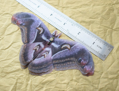 Dark Lunar Emperor Moth Hair Clips or Brooch