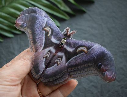 Dark Lunar Emperor Moth Hair Clips or Brooch