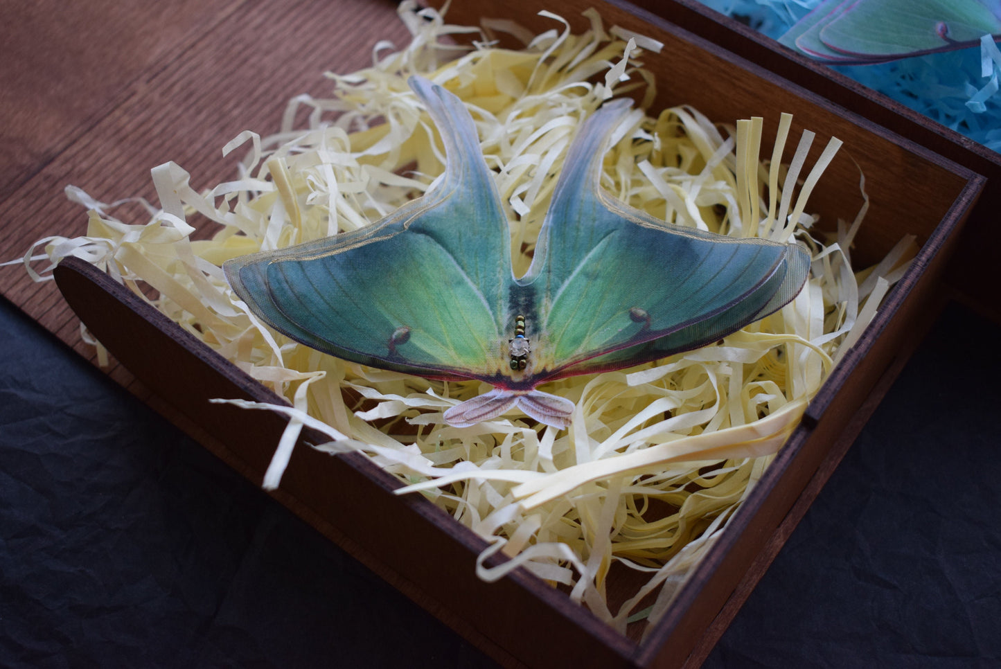 Silk Luna Moth Hair Clip or Brooch